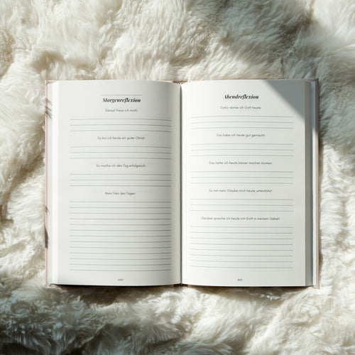 Godlight Journal "Beige"